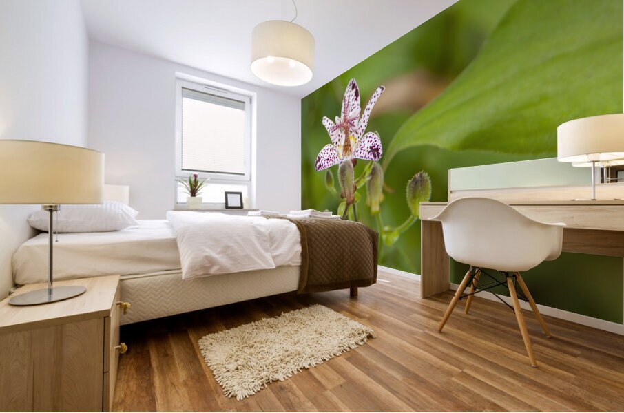 FlowersPlants 135 Mural print