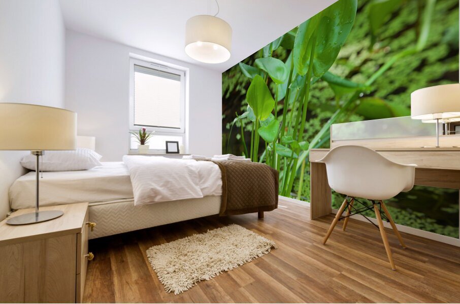 FlowersPlants 138 Mural print