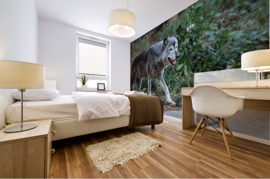AnimalsInsects 25 Mural print
