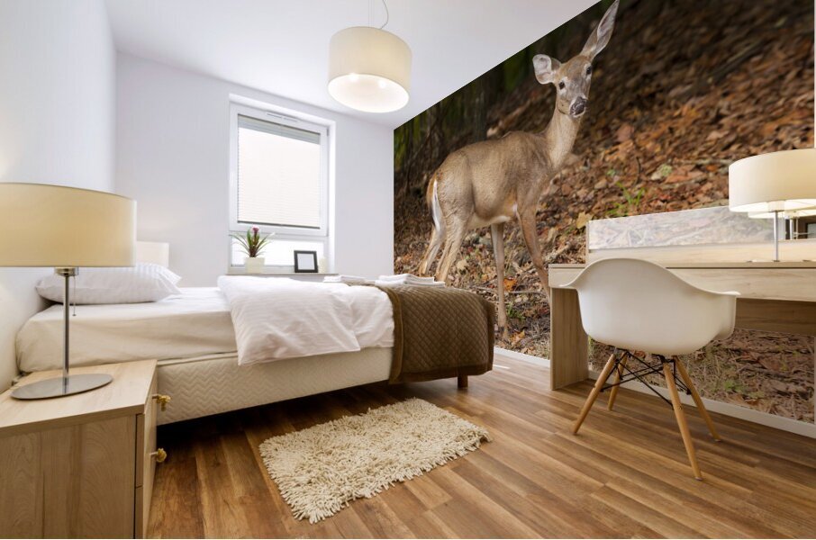AnimalsInsects 26 Mural print