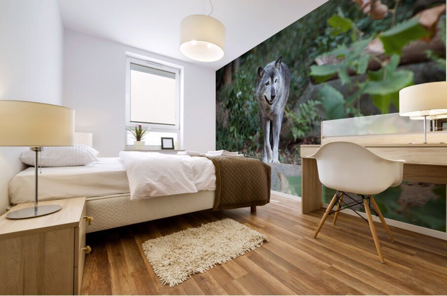 AnimalsInsects 33 Mural print