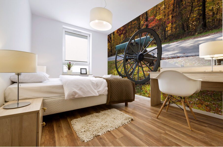 Civil War 45 Mural print