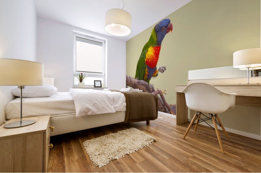 Birds 55 Mural print