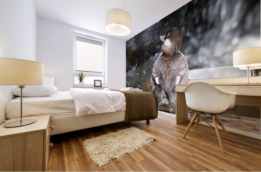 Birds 56 Mural print