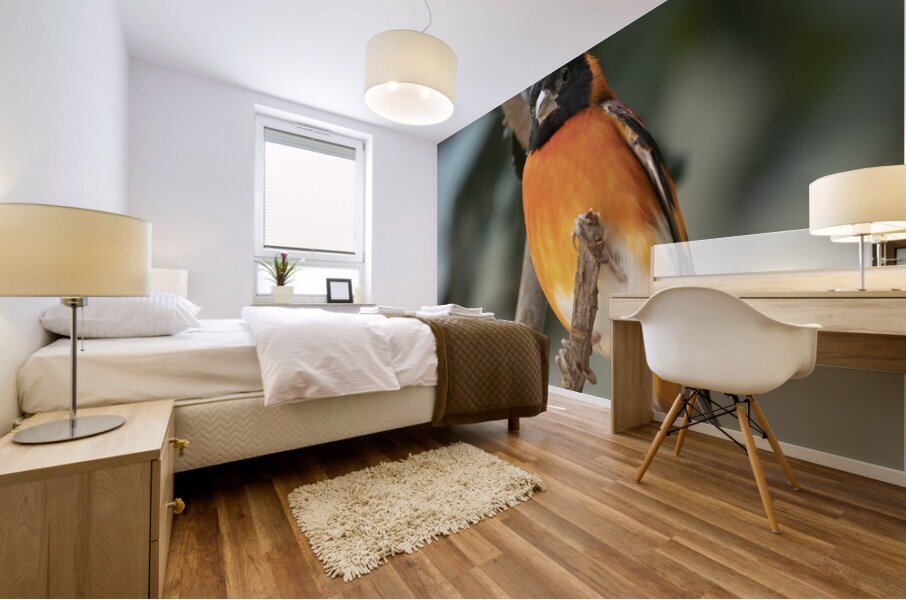 Birds 60 Mural print