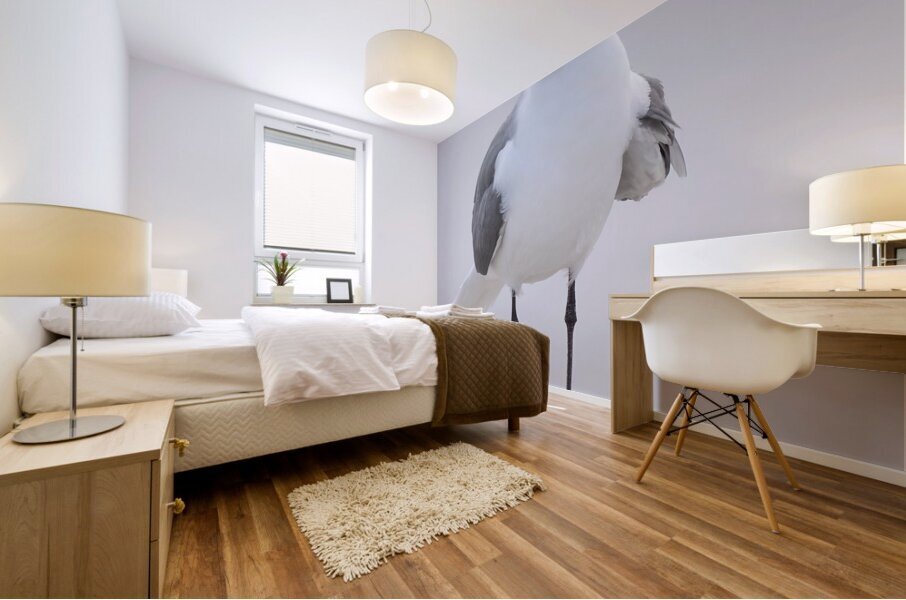 Birds 61 Mural print