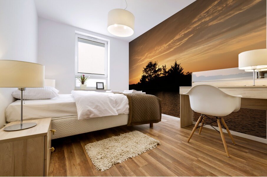 SunriseSunset 41 Mural print
