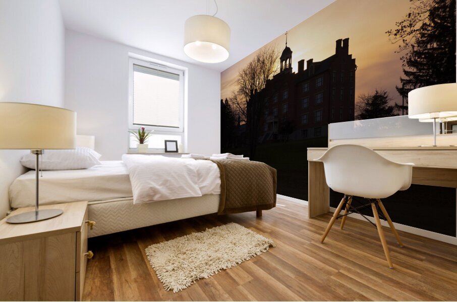 SunriseSunset 48 Mural print
