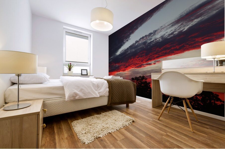 SunriseSunset 51 Mural print