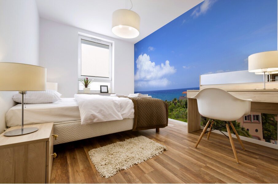 Coastal 34 Mural print