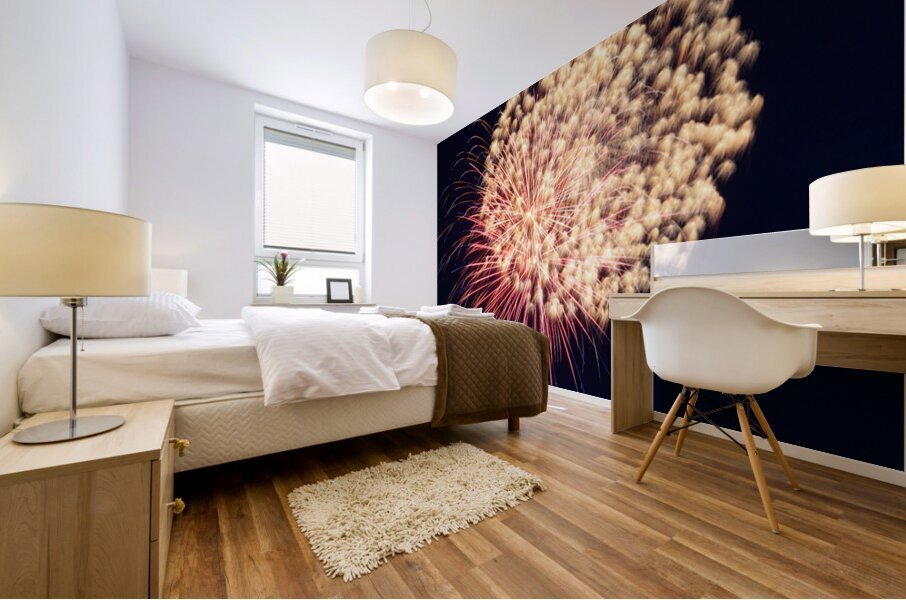 Fireworks 12 Mural print