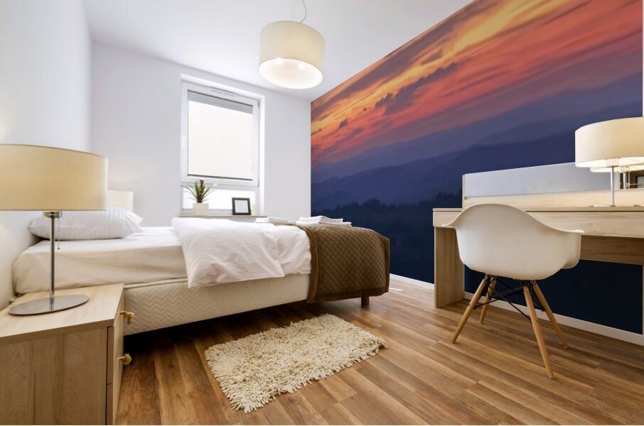 Panoramic 4 Mural print