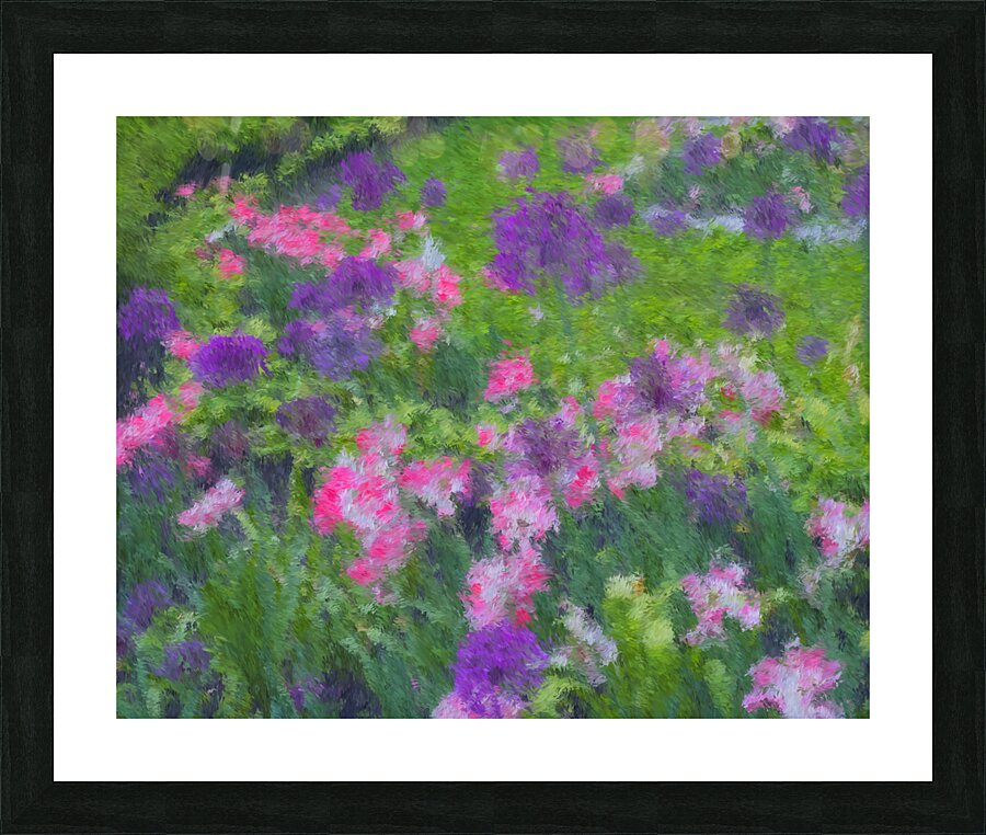 Flowers Painted  2 Picture Frame print