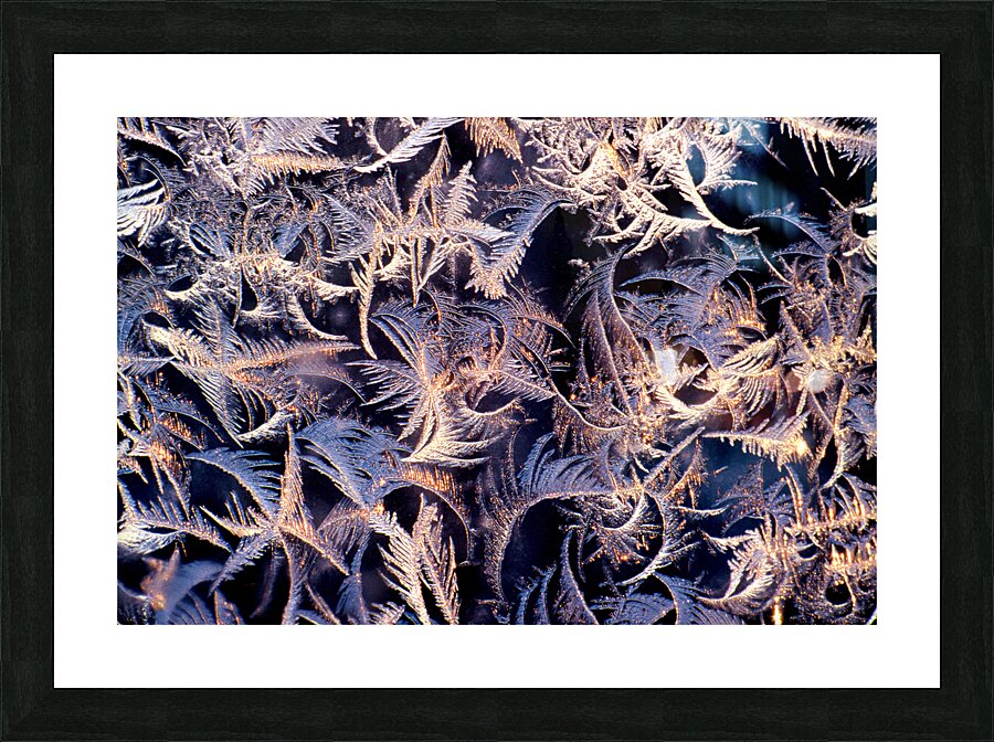 Frost Abstract  1 Picture Frame print