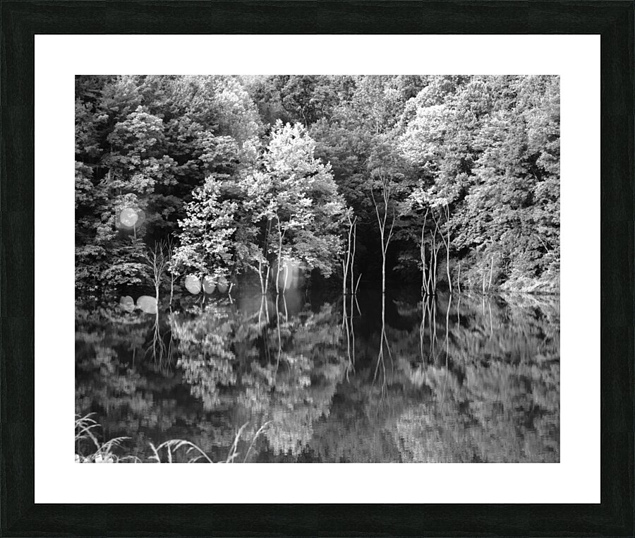 Green Abstract  1 Monochrome Picture Frame print