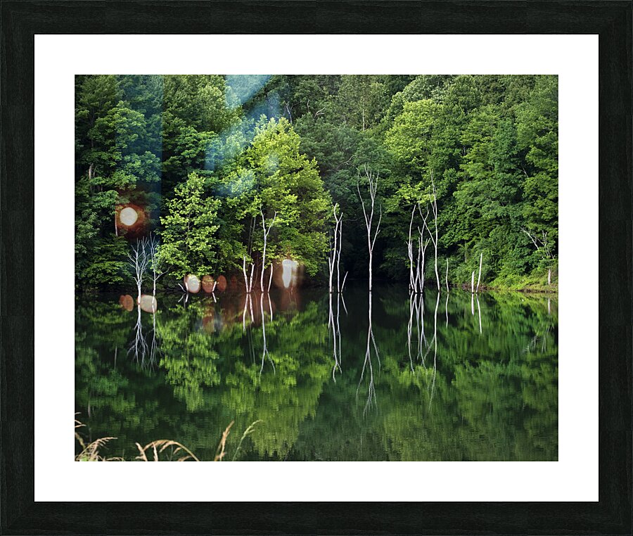 Green Abstract  1 Picture Frame print