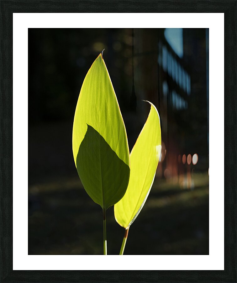 Abstract Close Up Paint 3 Picture Frame print
