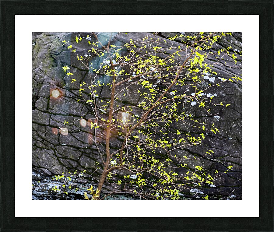 Abstract Close Up Paint 5 Picture Frame print