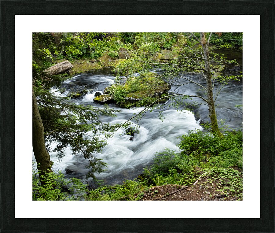 Alaska 3 Picture Frame print