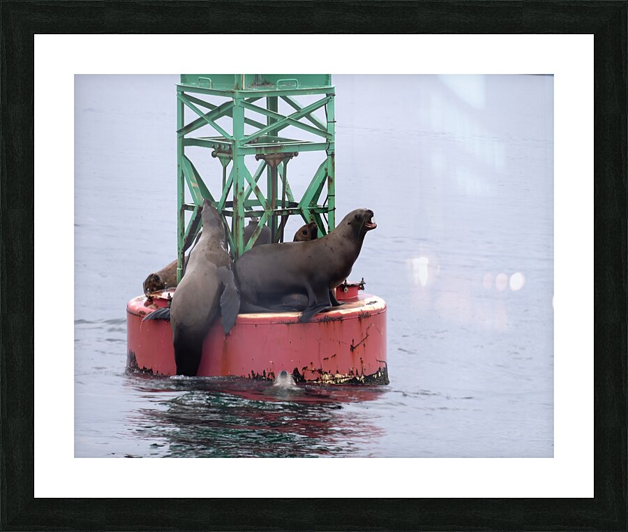 Alaska 6 Picture Frame print