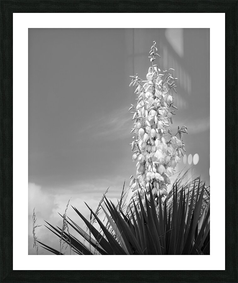 Abstract  41 Picture Frame print