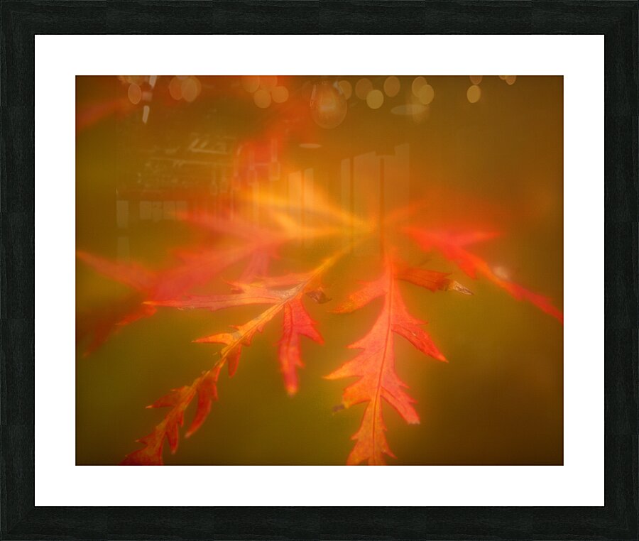 Abstract  43 Picture Frame print