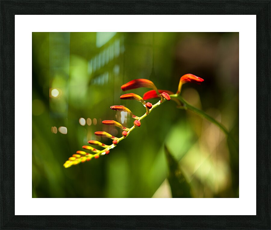 Abstract  45 Picture Frame print