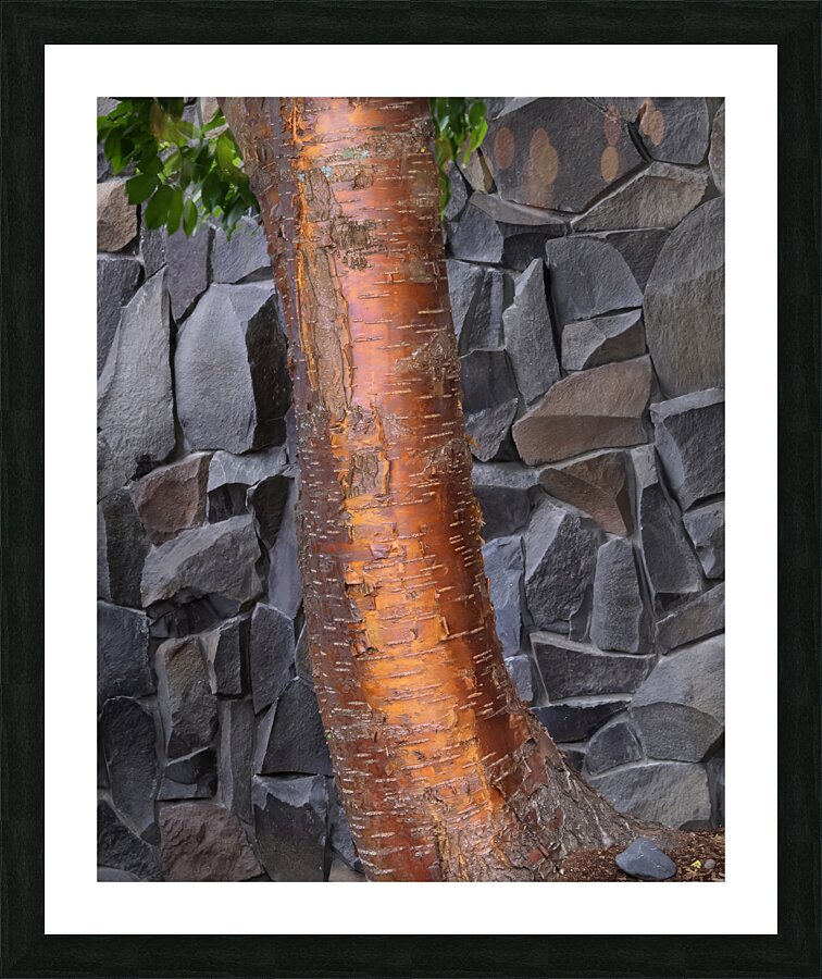 Abstract  47 Picture Frame print