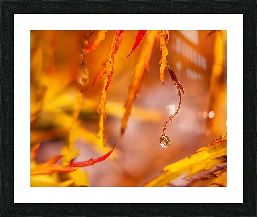 Abstract  48 Picture Frame print
