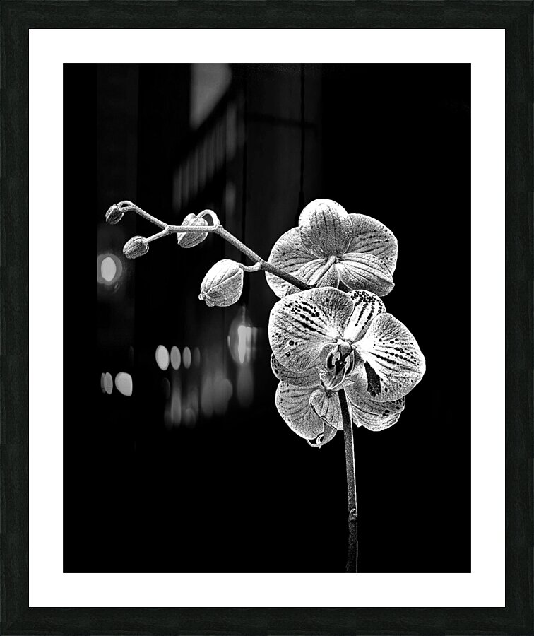 Abstract  51 Picture Frame print