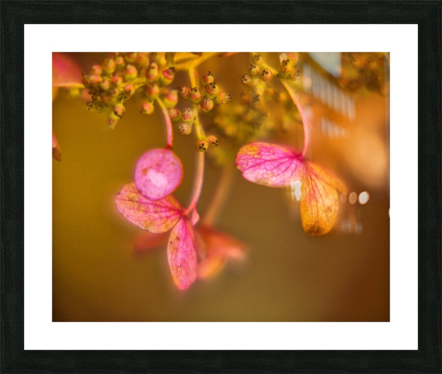 Abstract  52 Picture Frame print
