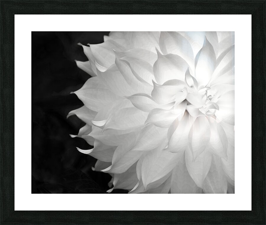 Abstract  53 Picture Frame print