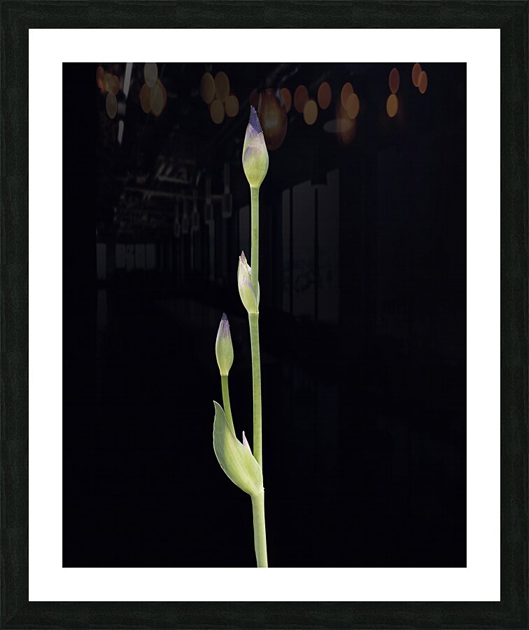Abstract  55 Picture Frame print