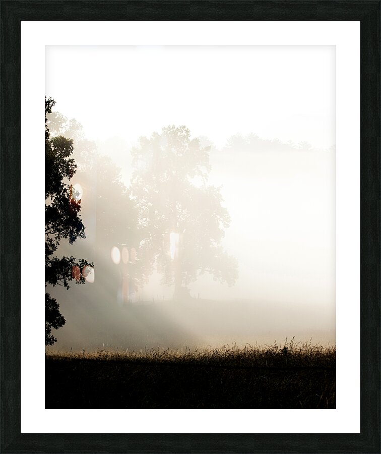 Abstract  56 Picture Frame print