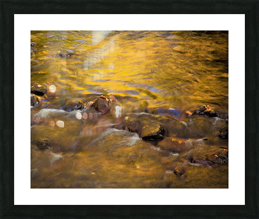 Water  1 Picture Frame print