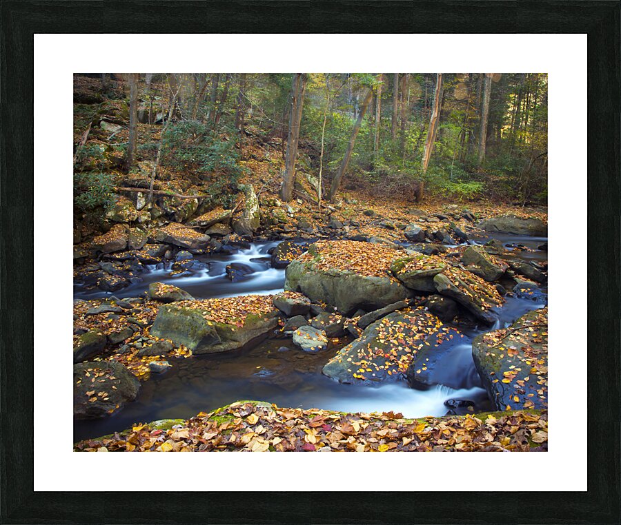Water  2 Picture Frame print