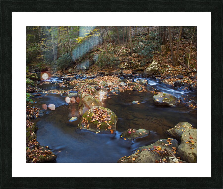 Water  4 Picture Frame print