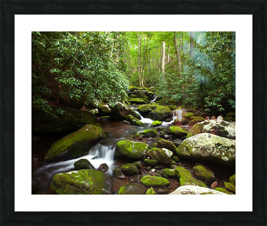 Water  13 Picture Frame print