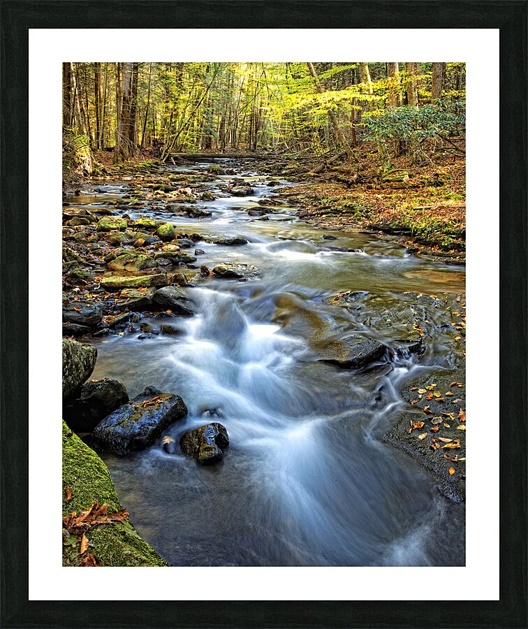 Water  20 Picture Frame print