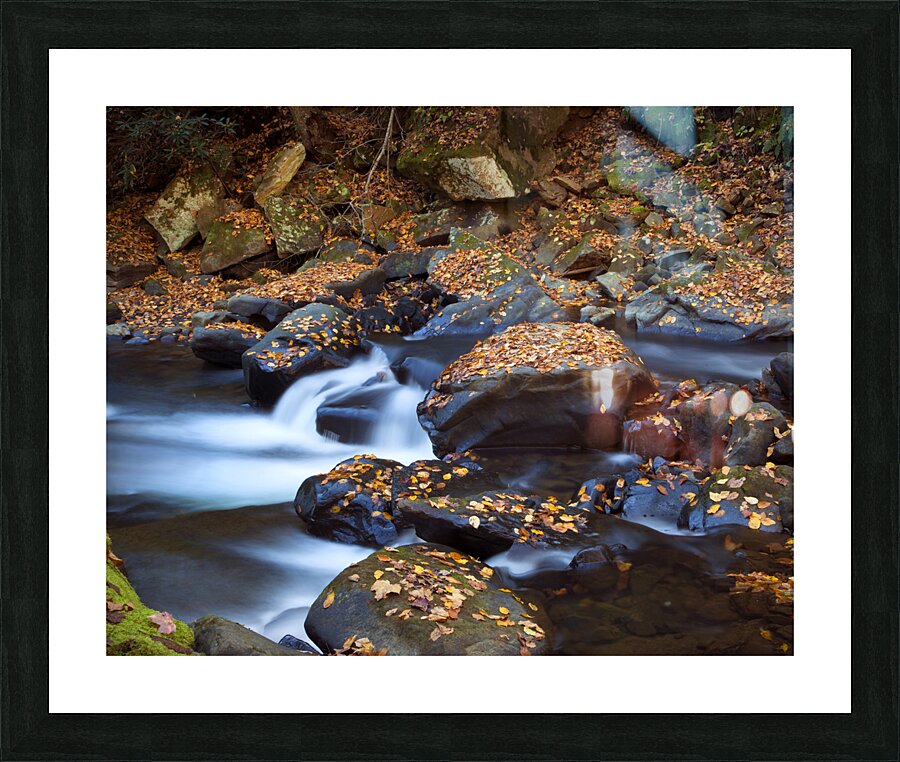 Water  30 Picture Frame print