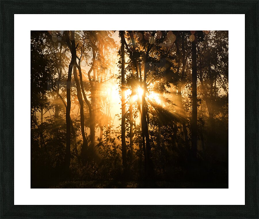SunriseSunset 16 Picture Frame print