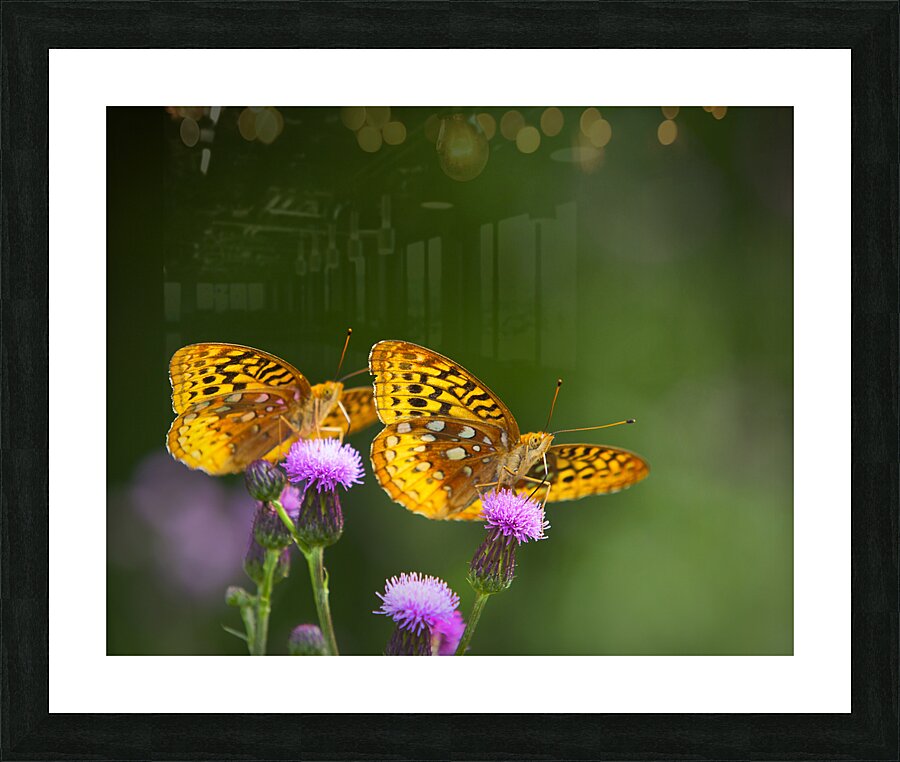 AnimalsInsects 19 Picture Frame print