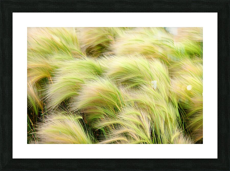 Abstract 58 Picture Frame print