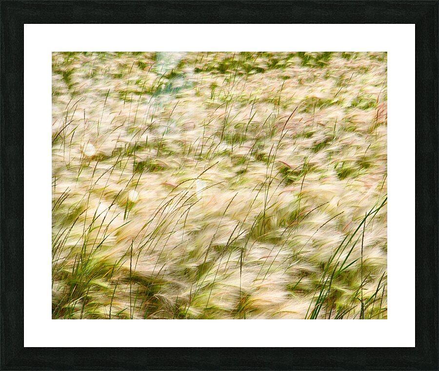 Abstract 61 Picture Frame print