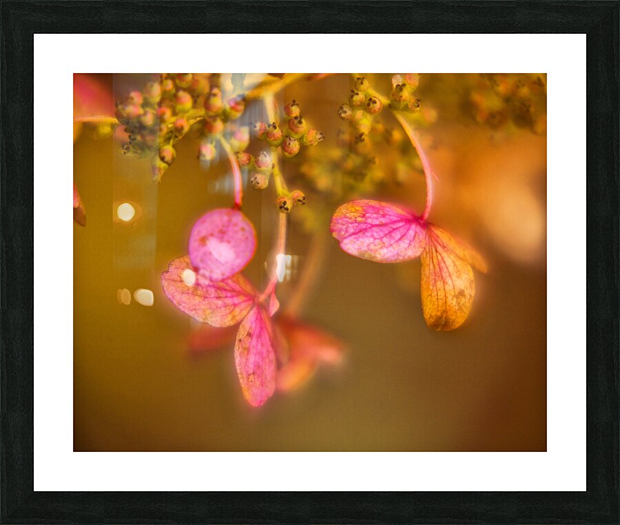 Abstract 62 Picture Frame print