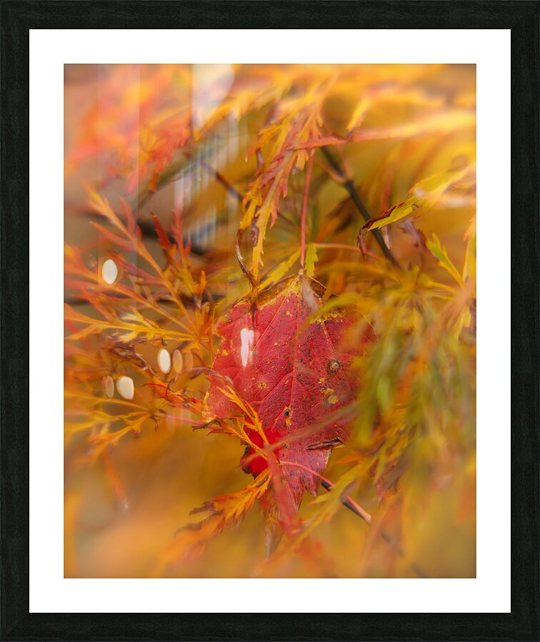 Abstract 65 Picture Frame print
