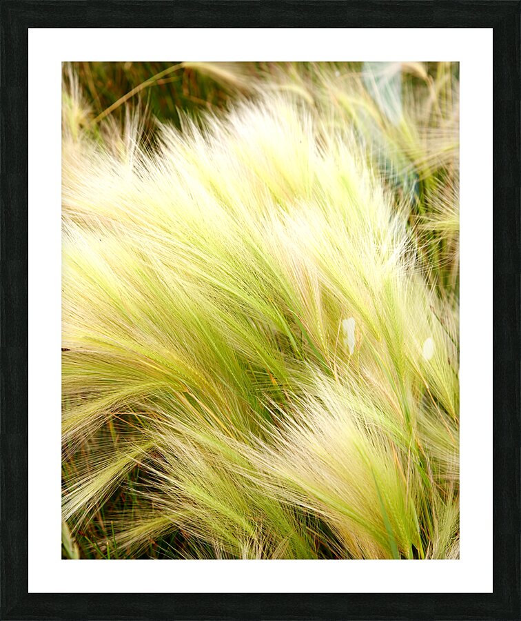 Abstract 66 Picture Frame print
