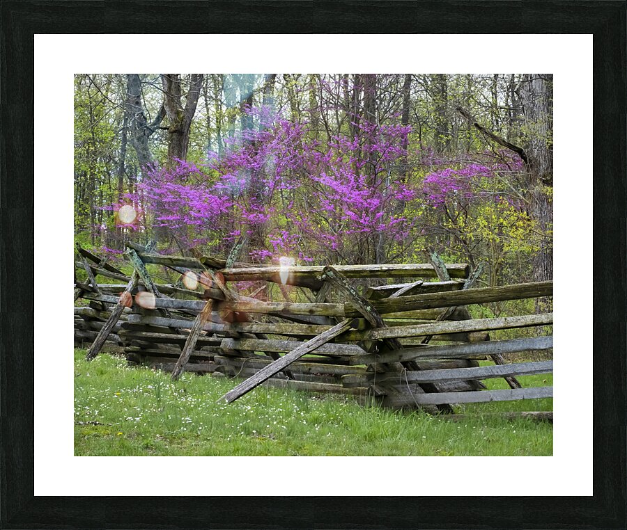 FlowersPlants 1 Picture Frame print