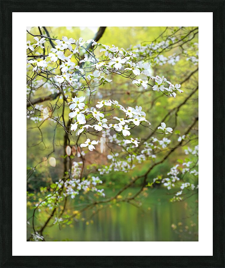 FlowersPlants 3 Picture Frame print