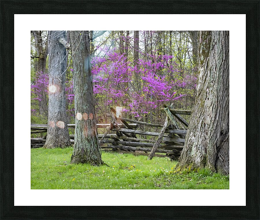 FlowersPlants 15 Picture Frame print